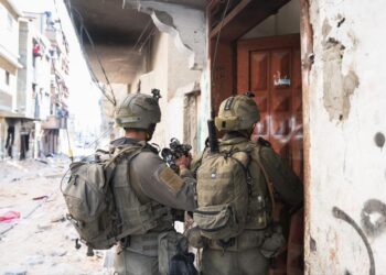 צה"ל מסכם 6 חודשים למלחמה – כל הנתונים