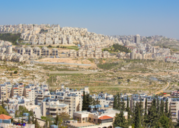 שנת 2024 שנת שיא בהרכזה על אדמות מדינה: בתנועת "שלום עכשיו" דואגים; בתנועת "רגבים מברכים"