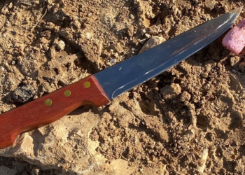 מחבלת שלפה סכין לעבר כוחותינו ונוטרלה בבקעת הירדן, אין נפגעים