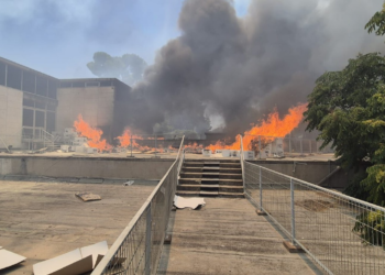 שריפת יער התפשטה לחצר מוזיאון ישראל בירושלים – השריפה בשליטה