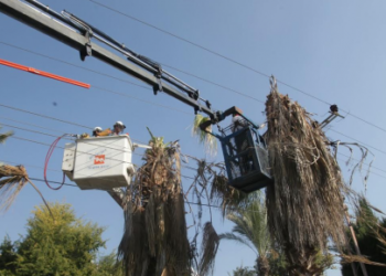 "הקמה של מתקני אנרגיה מתחדשת על גגות תחזק את חוסנו של משק החשמל"