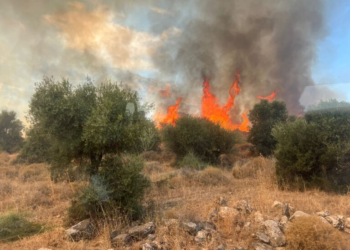 הממשלה תאשר קיצוץ רוחבי במשרדיה – לטובת סיוע לתושבי הדרום והצפון