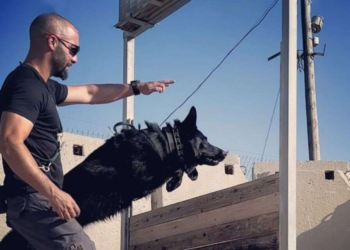 התפתחות משמעותית בחקירת רצח הסוהר שנמצא דקור למוות בביתו