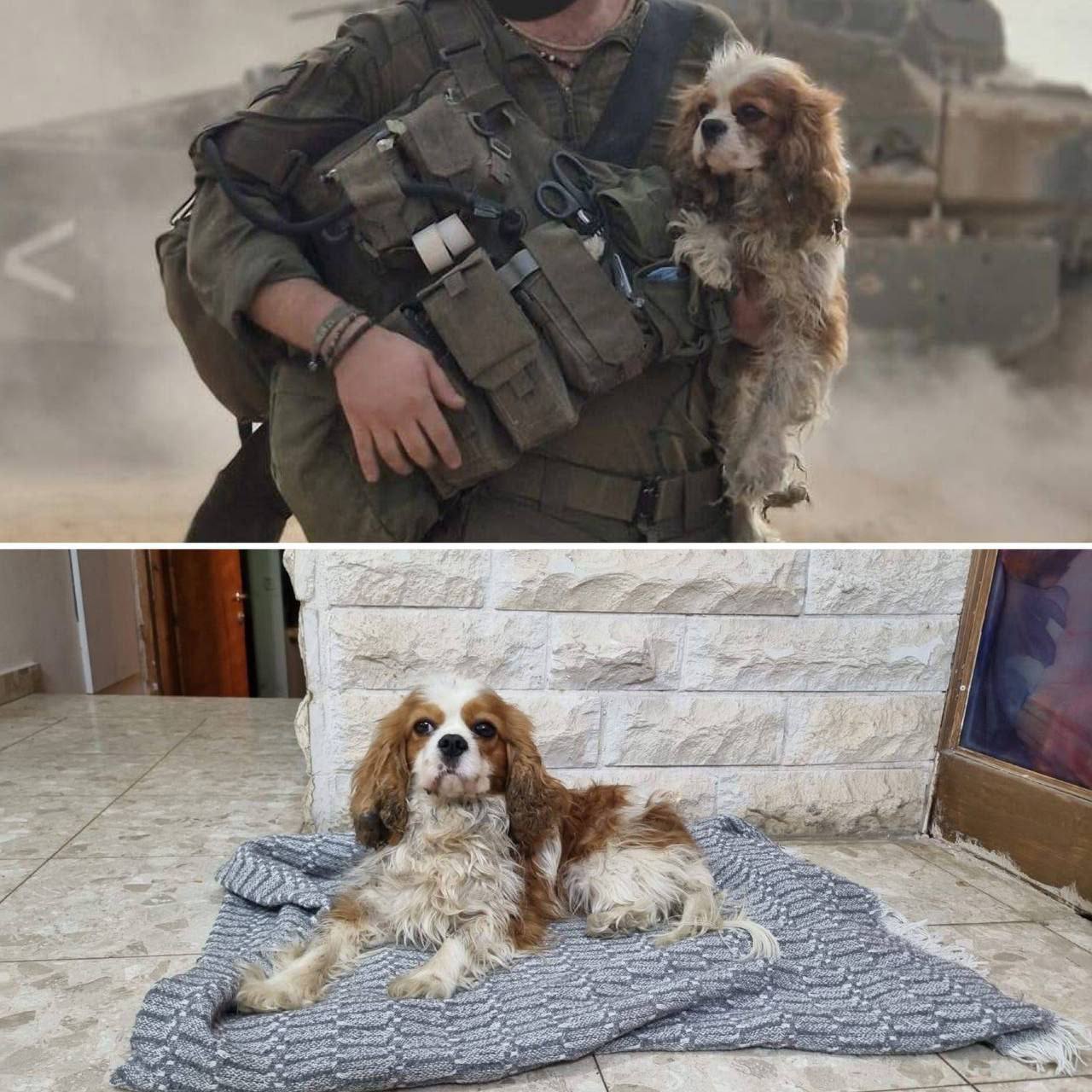 תמונה נלווית לכתבה