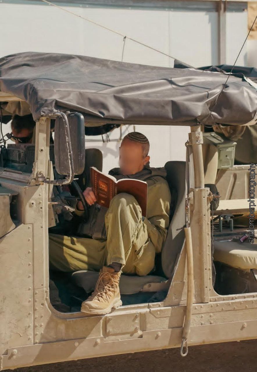 תמונה נלווית לכתבה