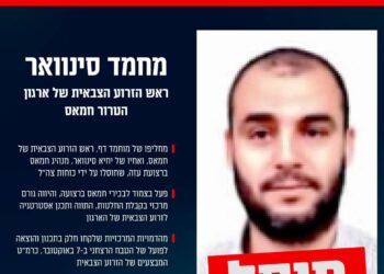 צה״ל מאשר רשמית: מוחמד סינוואר ומח״ט רפיח חוסלו
