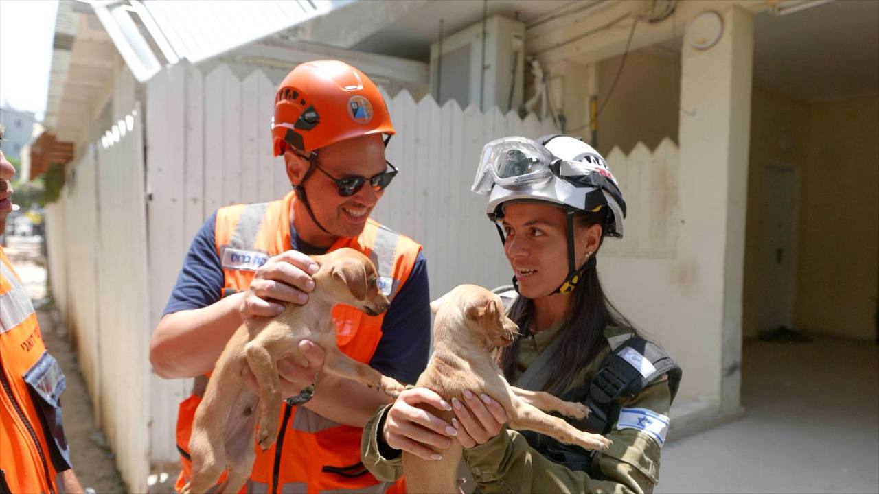 תמונה נלווית לכתבה