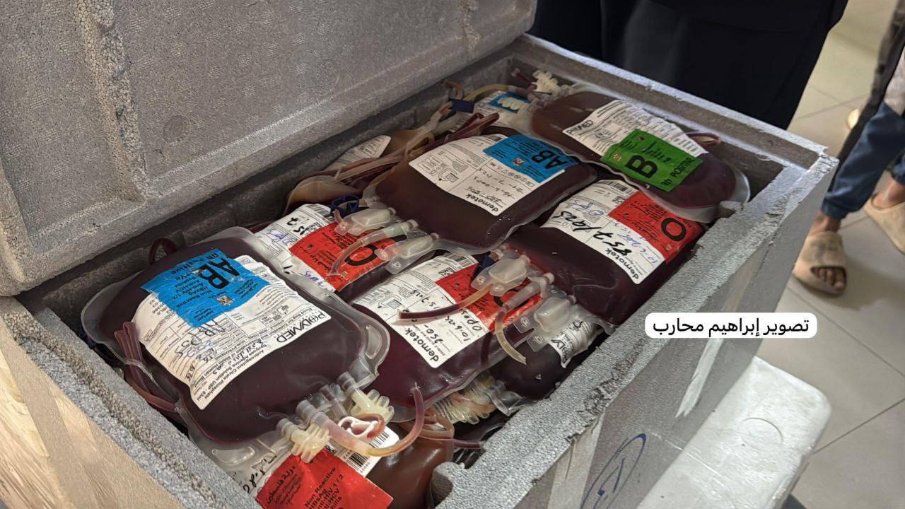 תמונה נלווית לכתבה