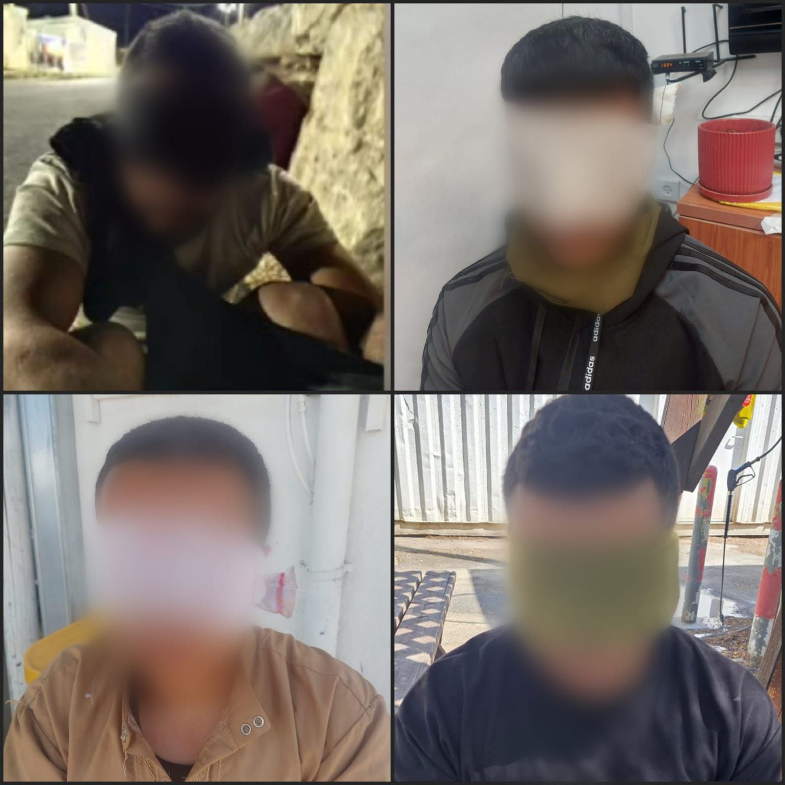 תמונה נלווית לכתבה