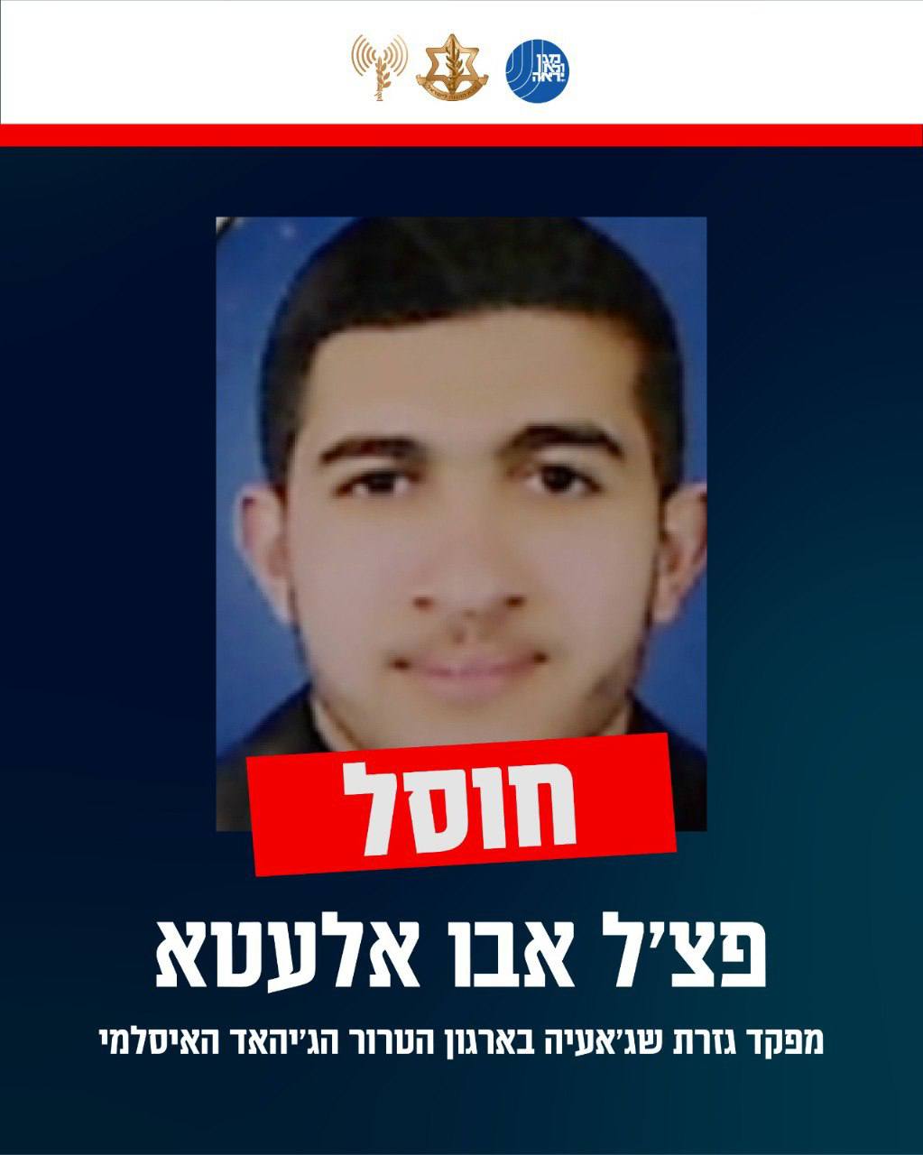 תמונה נלווית לכתבה