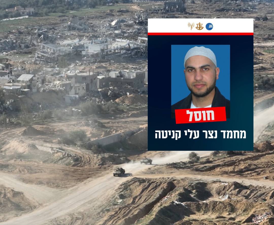 תמונה נלווית לכתבה