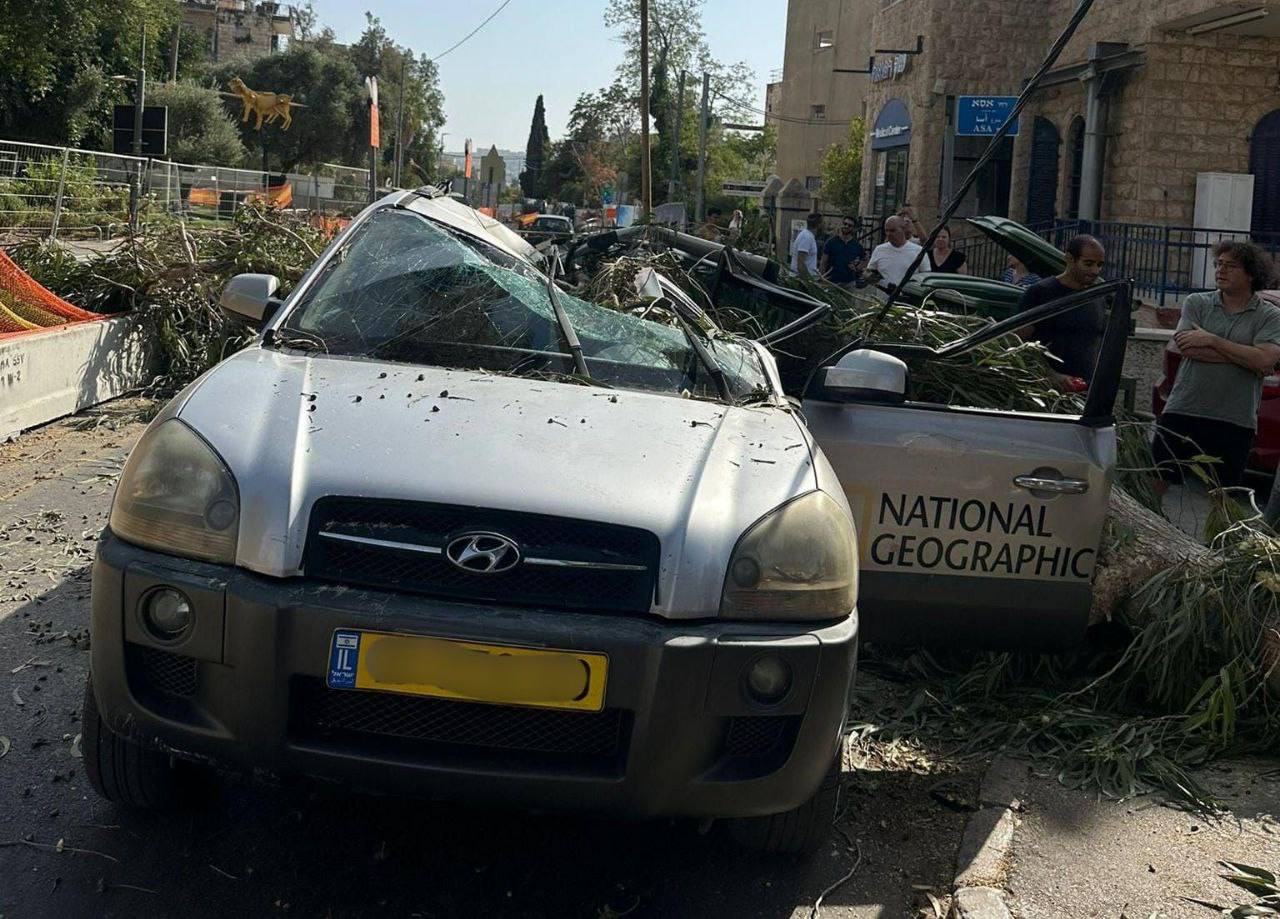תמונה נלווית לכתבה