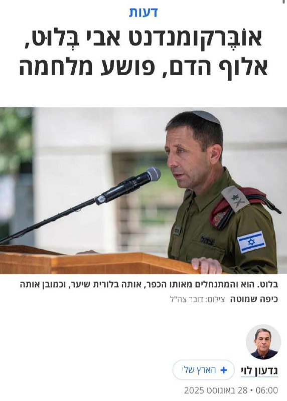 תמונה נלווית לכתבה
