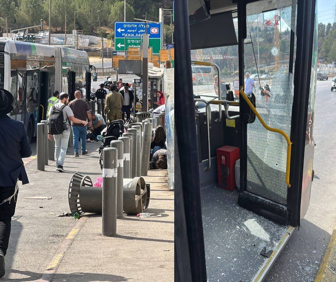 תמונה נלווית לכתבה