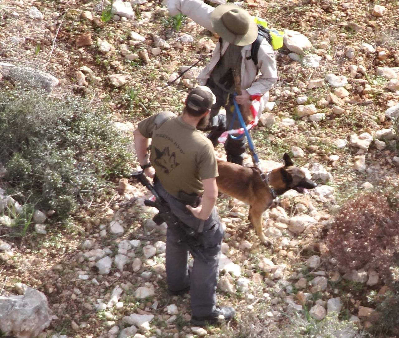 תמונה נלווית לכתבה