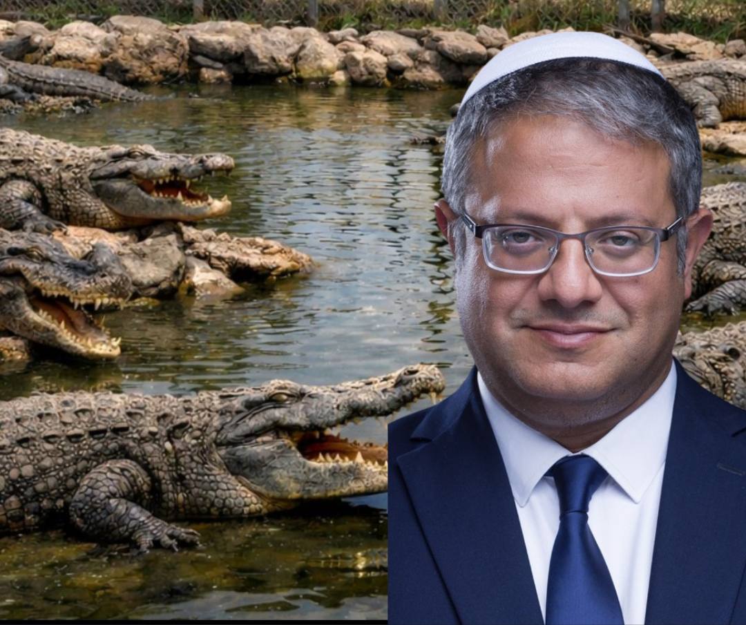 תמונה נלווית לכתבה