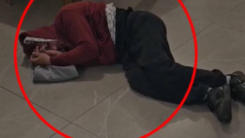 תמונה נלווית לכתבה