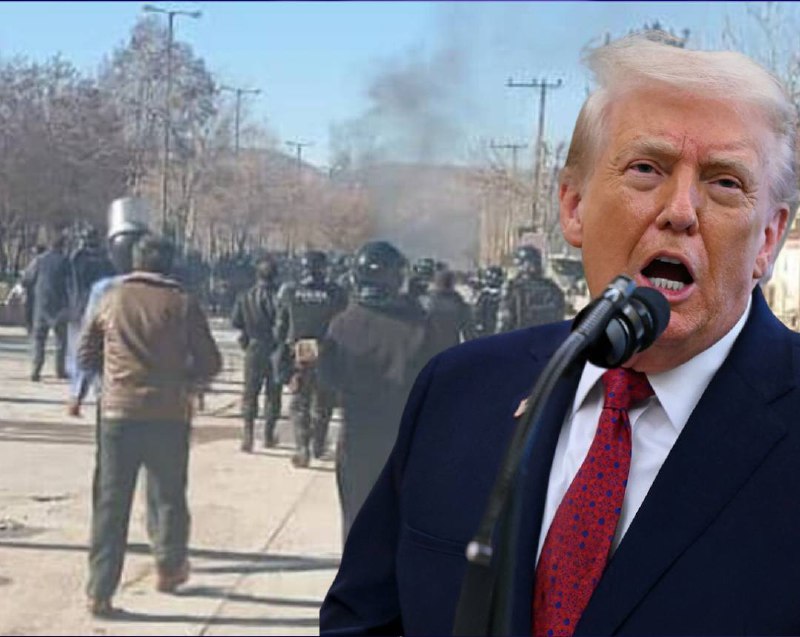 תמונה נלווית לכתבה