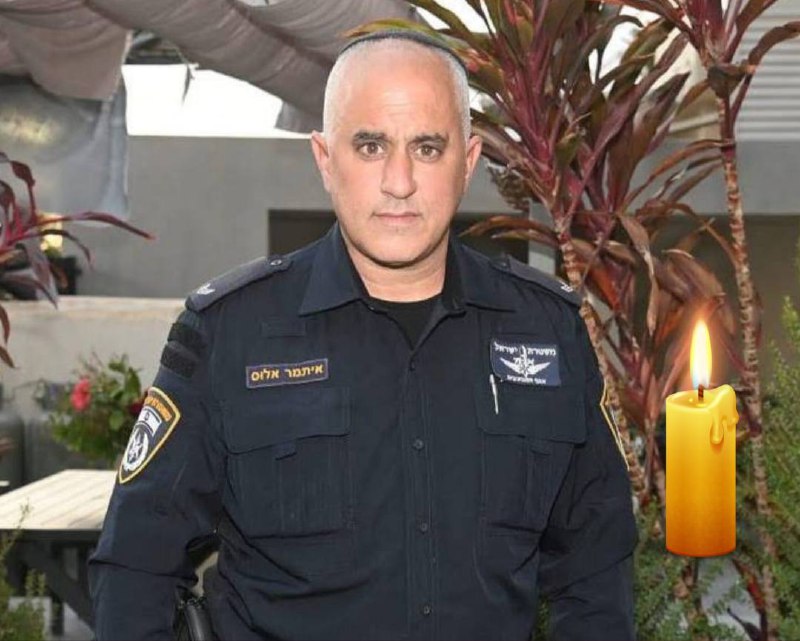 תמונה נלווית לכתבה