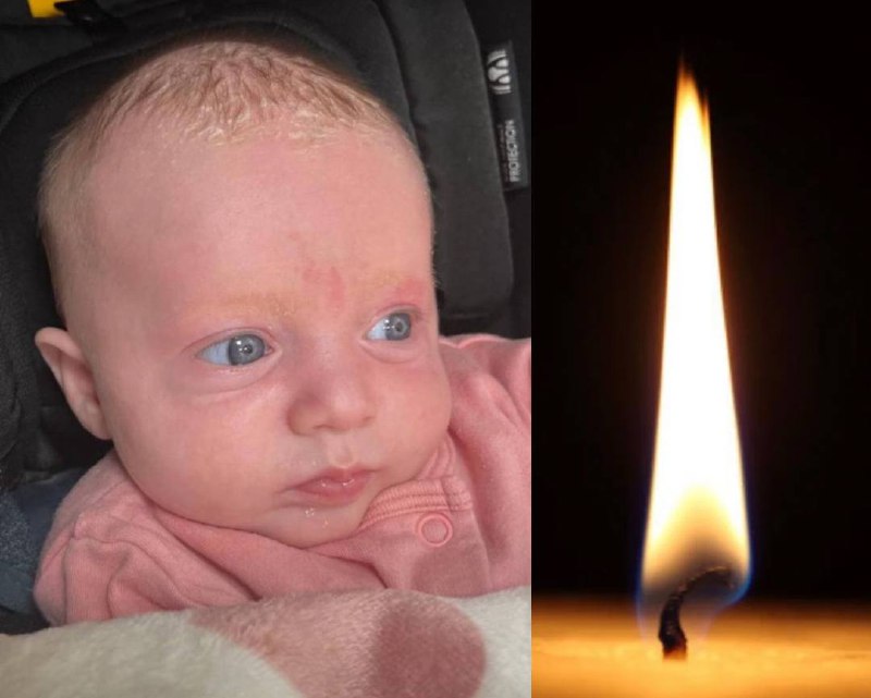 תמונה נלווית לכתבה