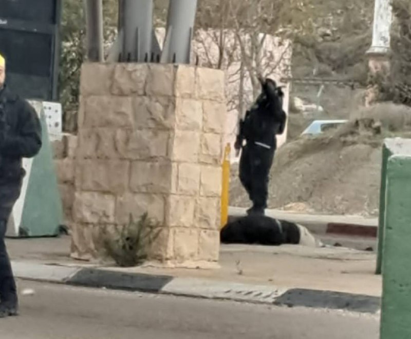 תמונה נלווית לכתבה