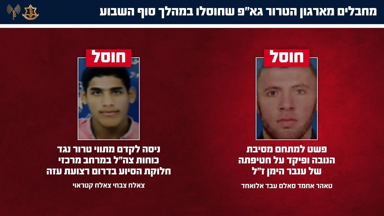 תמונה נלווית לכתבה